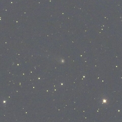 11月20日のパンスターズ彗星