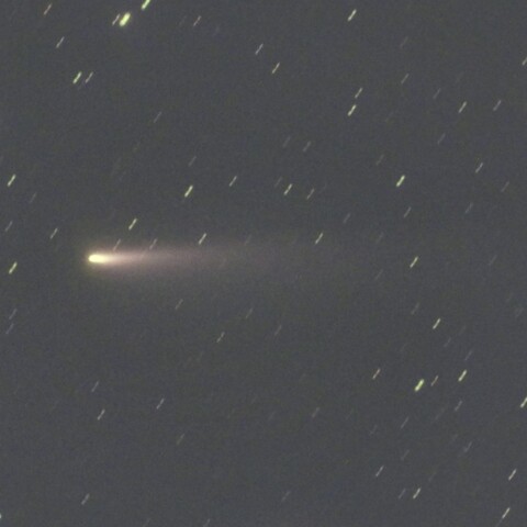 11月24日のアトラス彗星