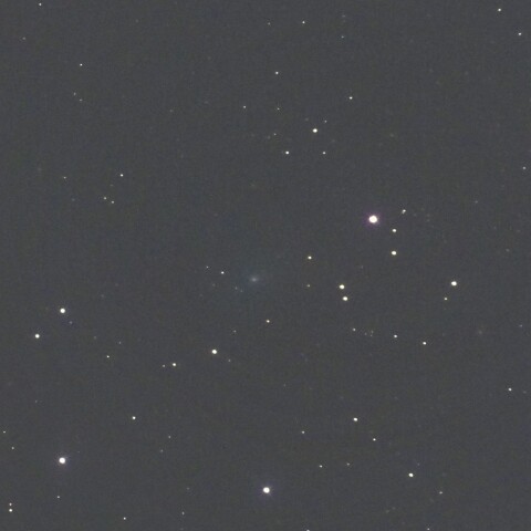 11月24日のショーマス彗星