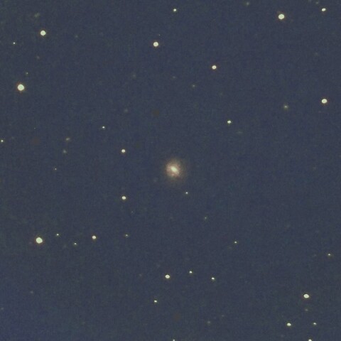 NGC255