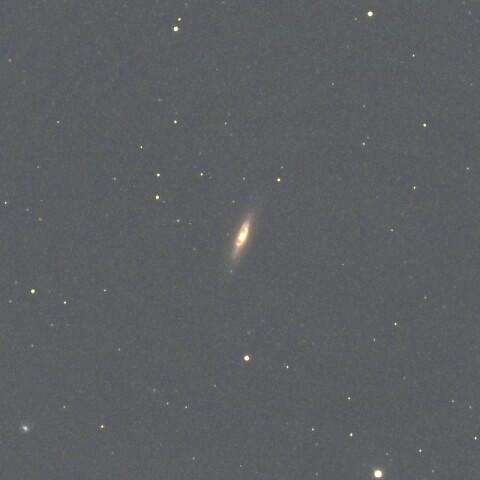NGC779（くじら座）