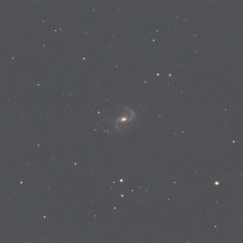 NGC895（くじら座）