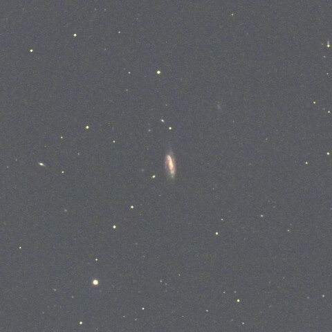 NGC958（くじら座）