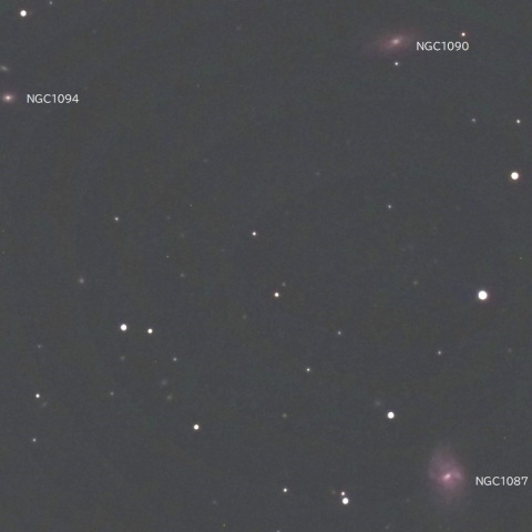 NGC1087他（くじら座）