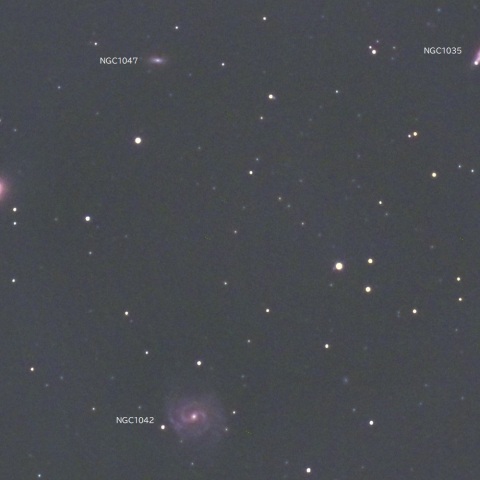 NGC1042付近(くじら座)