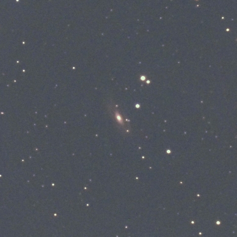 NGC1964（うさぎ座の銀河）