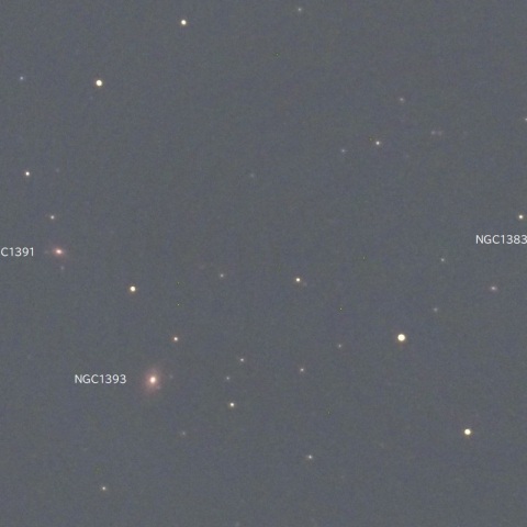 NGC1393など（エリダヌス座の銀河群）