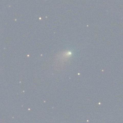 2月26日のC/2024E1 Wierzchos