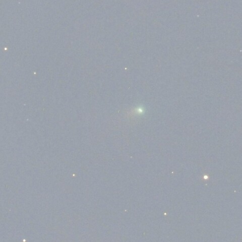 2月28日のC/2024E1 Wierzchos