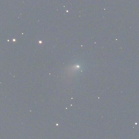 3月8日のC/2024E1 Wierzchos