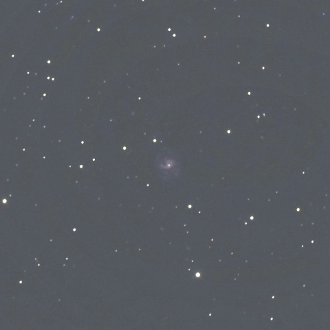 NGC2532（やまねこ座の銀河）