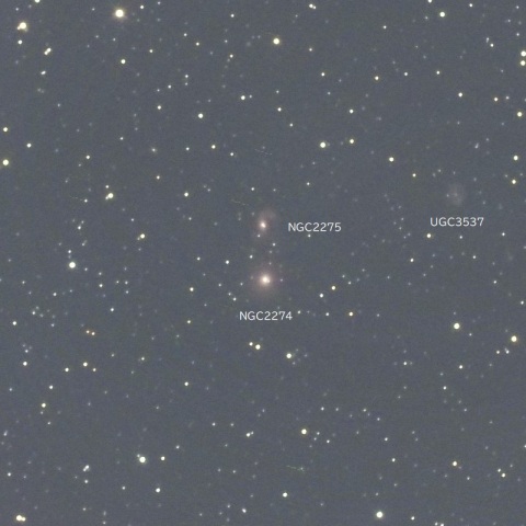 NGC2274付近（ふたご座の銀河群）
