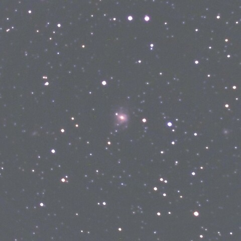 NGC2339 （ふたご座の銀河）