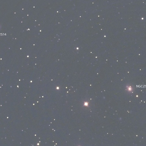 NGC2507付近　（かに座の銀河）