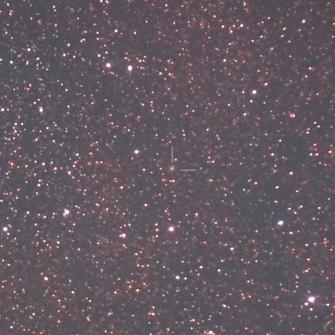 5月16日のパンスターズ彗星