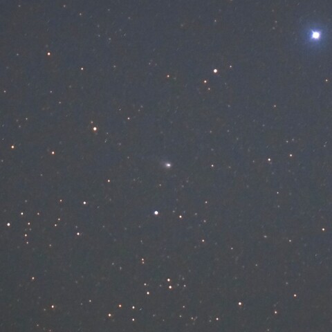 6月16日のC/2023R1（パンスターズ彗星）　