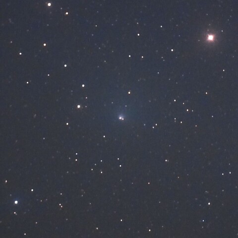 6月16日の10P（テンペル彗星）　