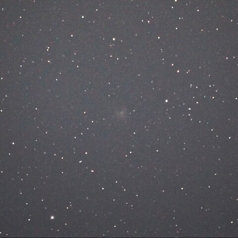 8月4日の12P/Pons-Brooks