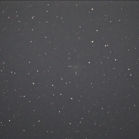 8月11日のP12/Pons-Brooks