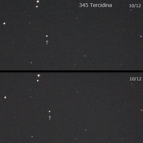 小惑星 345 Tercidina