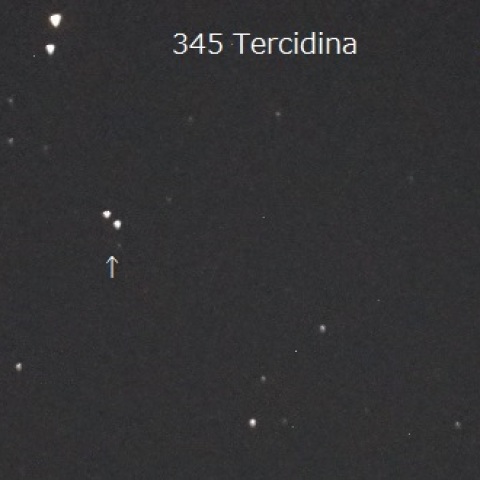 小惑星 345 Tercidina