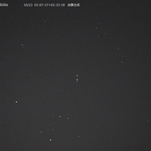 10月23日の小惑星 「144 Vibilia」