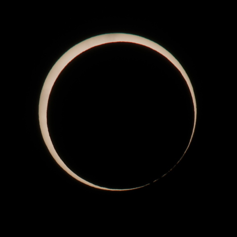 北限界線最大食時のベイリービーズ