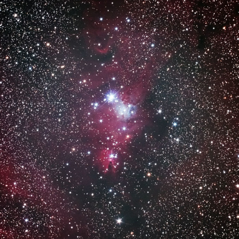 K-5Ⅱsで撮るクリスマスツリー星団（星雲）