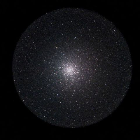 C-8 + 縮小コリメート法によるM22