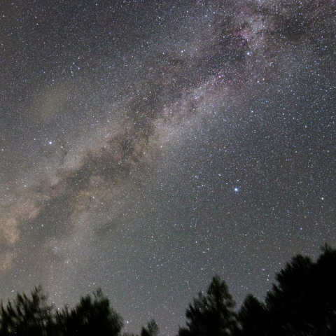 雲海の　上にたなびく　七夕の星