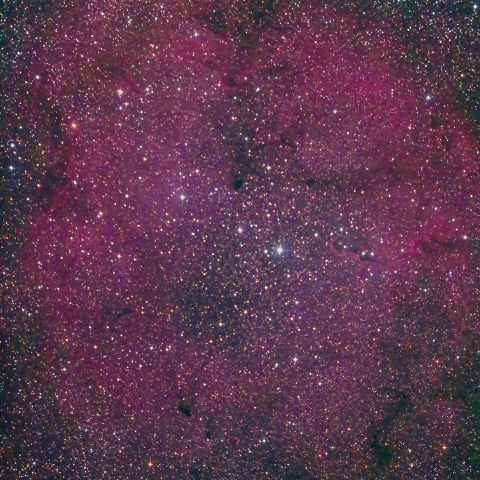 IC1396