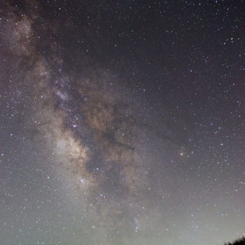 K-r+O-GPS1アストロトレーサー