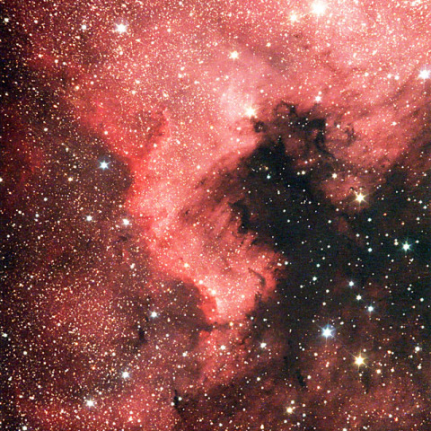 ORION StarShoot Pro V2.0 によるNGC7000 