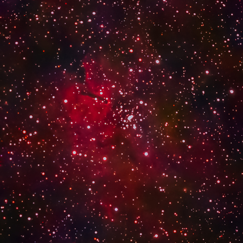 NGC6820 NGC6823 Sh2-86 こぎつね座