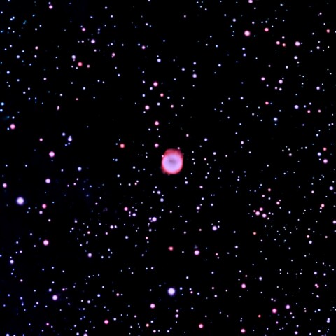 NGC6781 惑星状星雲 スノードーム星雲 わし座