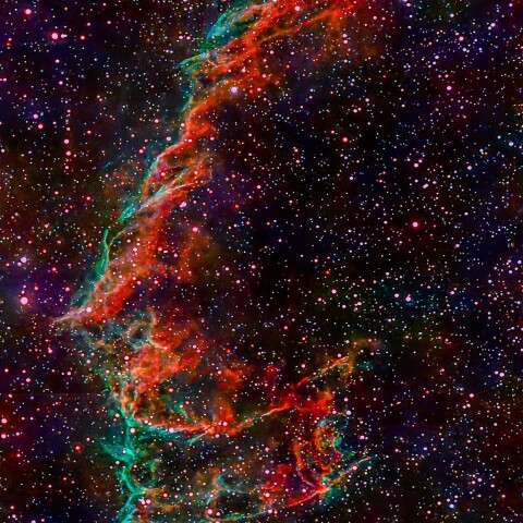 大皿    [ 星雲 ] Ni2dokfin_-2.jpg?fit=2000,1932