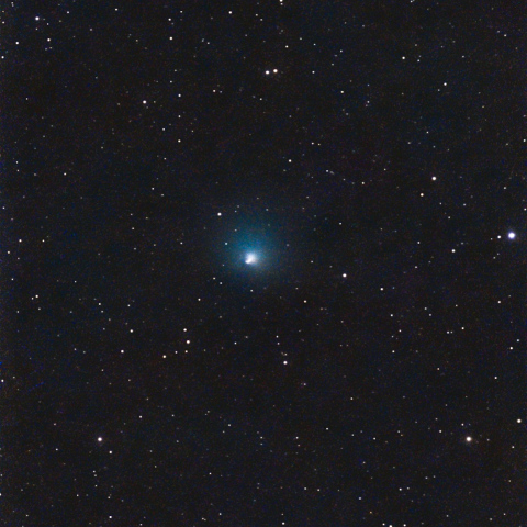 テンペル第2周期彗星 10P    
