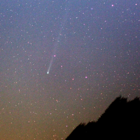 C/2012S1　ISON彗星