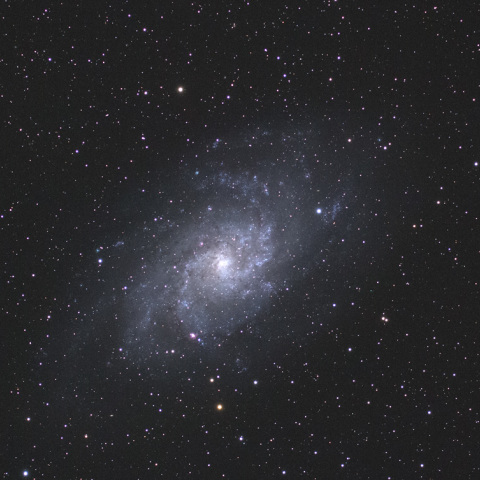 M33