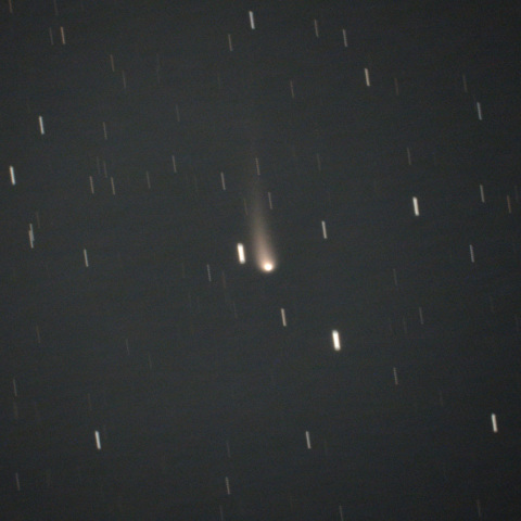 紫金山・アトラス彗星