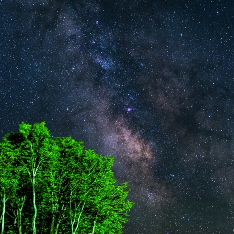 天の川（八甲田）