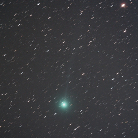 12月20日夜のLovejoy彗星