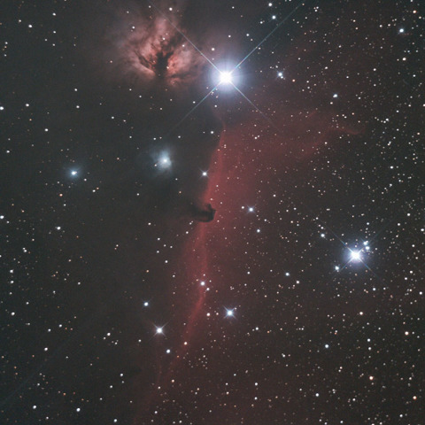 午年の馬頭星雲撮り納め