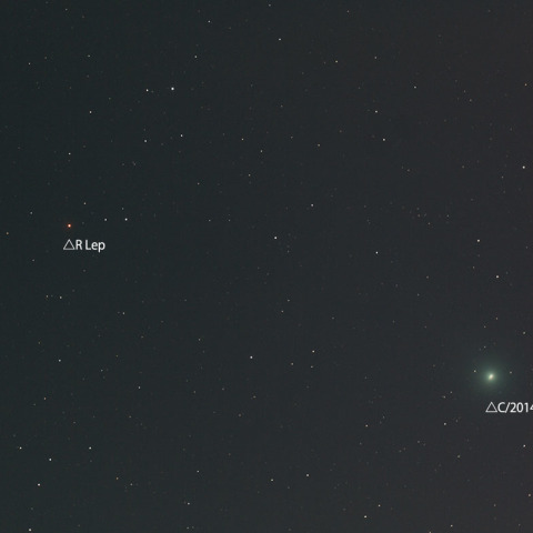 クリムゾンスターとラヴジョイ彗星