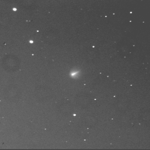 池谷-村上彗星（11月7日）