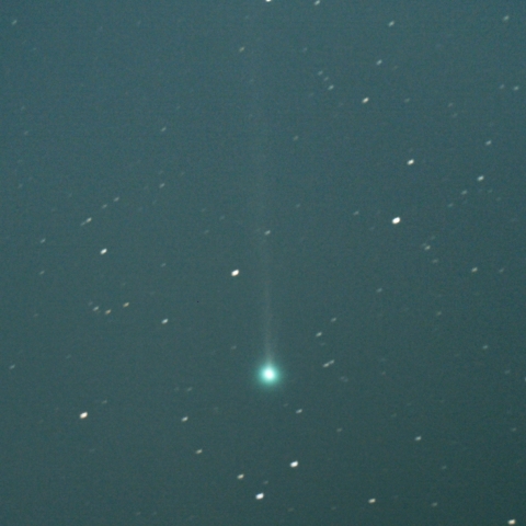 月明下の本田-ムルコス-パイドゥシャーコヴァー彗星 (45P)