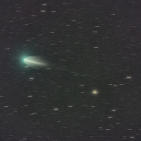 220P/McNaught