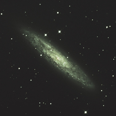 NGC253