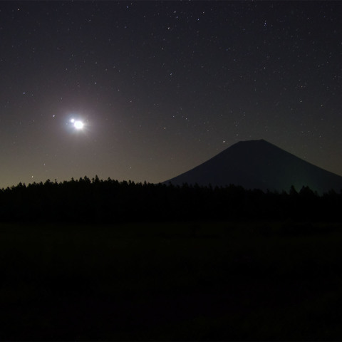 富士を懸ける獅子