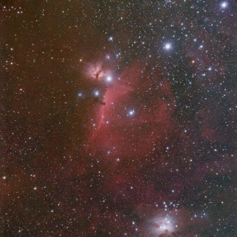 オリオン座の星雲